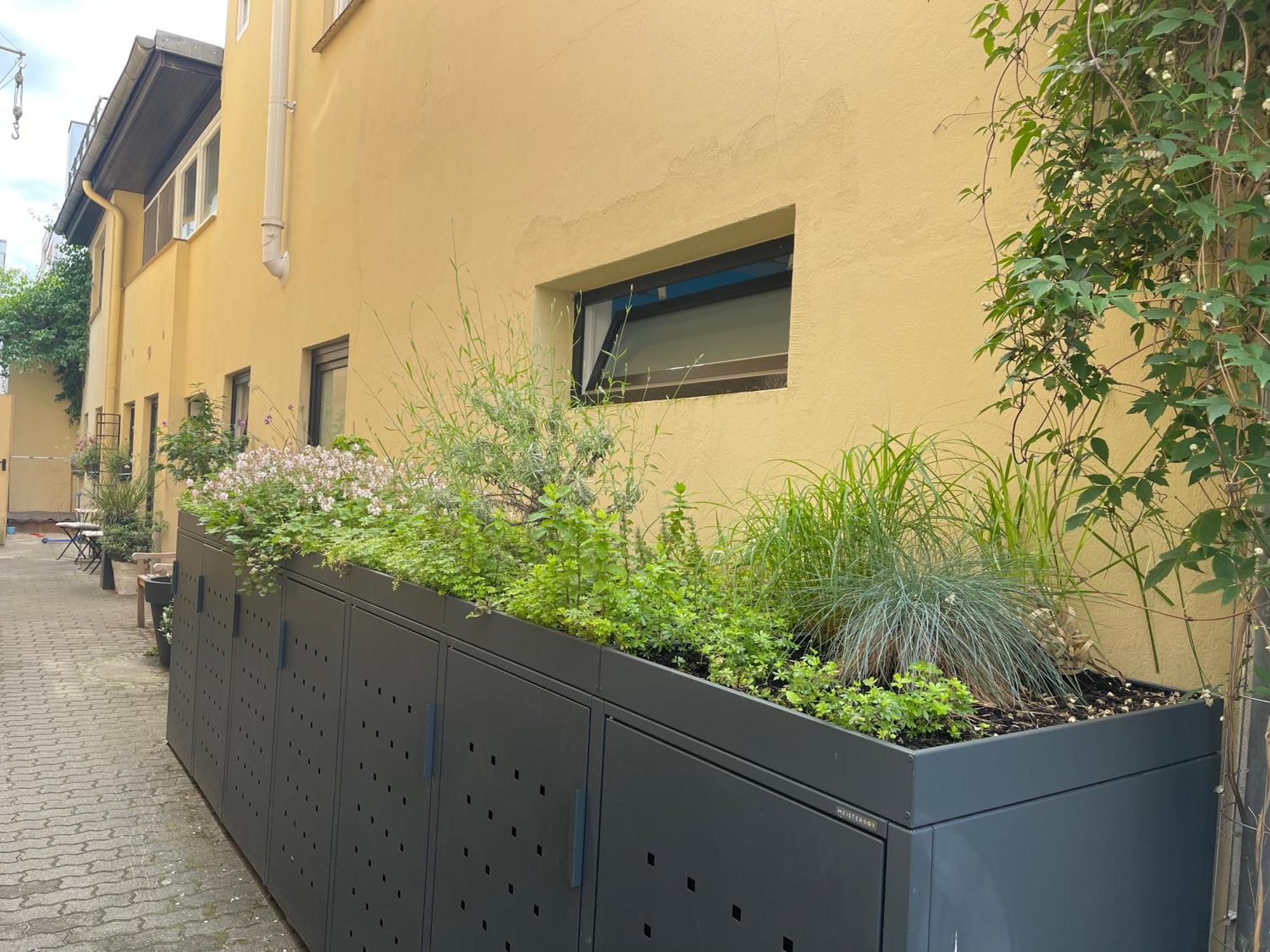 Ostsee Ferienwohnung Moewengasse لوبيك المظهر الخارجي الصورة
